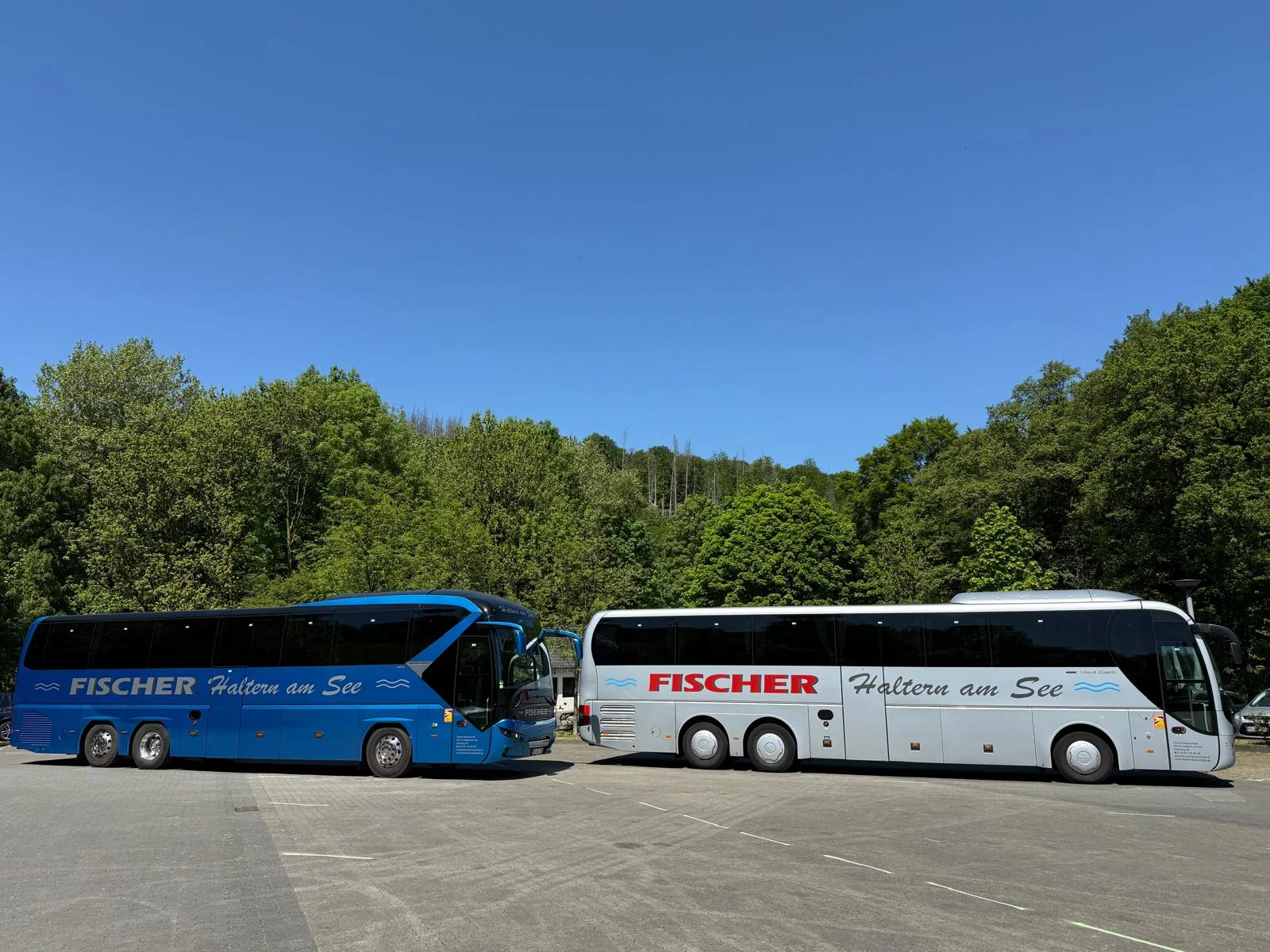 Ein blauer und ein weißer Fischer Reisebus vor Bäumen